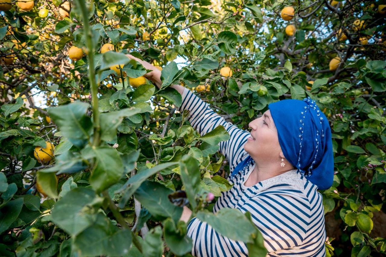 بيت ضيافة ريفاكلي إيف Rizokarpaso المظهر الخارجي الصورة